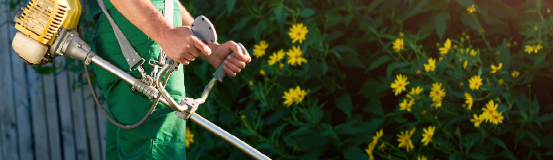 Servicio de jardinería